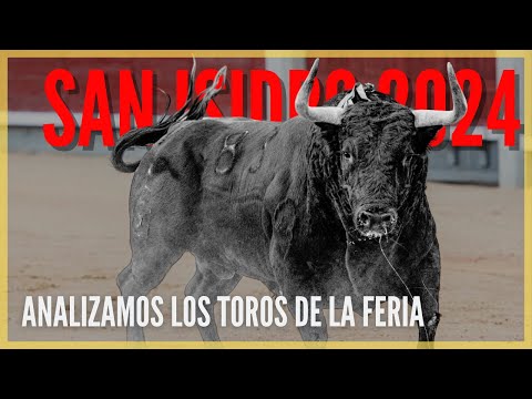 Análisis 🐂 Toros San Isidro 2024 🏟️ con Julio Fernández