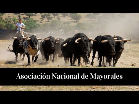 Asociación Nacional de Mayorales