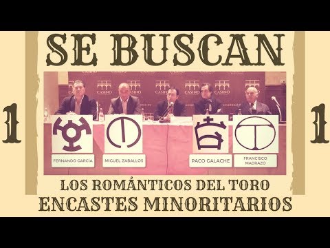 1/2 ENCASTES MINORITARIOS - ROMÁNTICOS DEL TORO