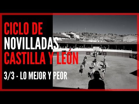 Especial Ciclo de Novilladas 🧱 Castilla y León 🦁 - LO MEJOR Y PEOR