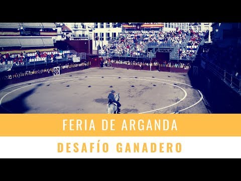 🐂 FERIA DE ARGANDA - DESAFÍO GANADERO 🐂