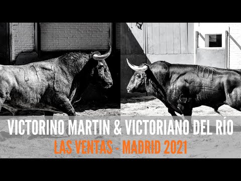 Corridas extraordinarias de Las Ventas - Madrid | Victorino - Victoriano del Río 2021
