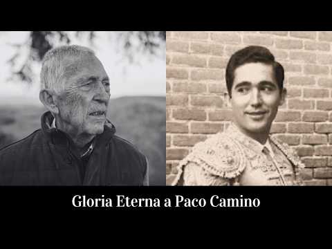 Gloria Eterna a Paco Camino | 1940 - 2024