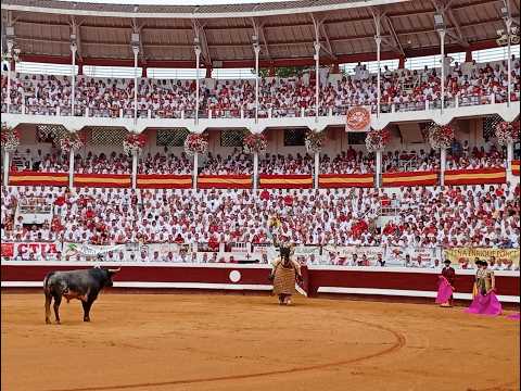 Feria de Dax 2026 y Novilladas de Verano