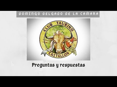 Preguntas y Respuestas con Domingo Delgado de la Cámara