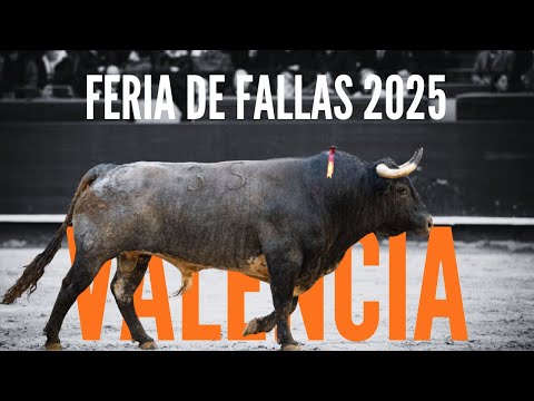 Feria de Fallas 2025 - Toros Valencia