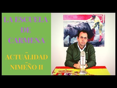 La escuela de Carmena - Actualidad - Nimeño II