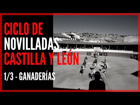 Especial Ciclo de Novilladas 🧱 Castilla y León 🦁 - LAS GANADERÍAS