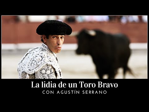 🐂 La lidia de un toro bravo🐂 con Agustín Serrano