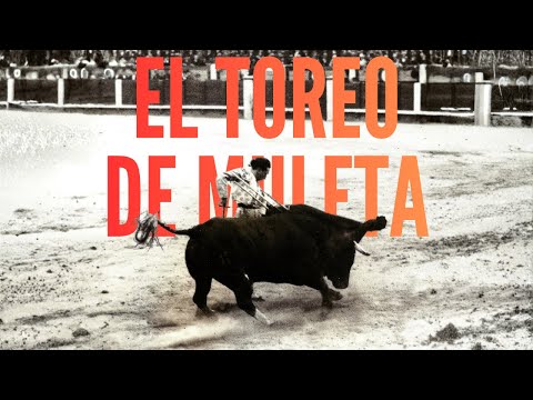 🐂 Evolución del toreo de muleta 🐂 Historia del toreo