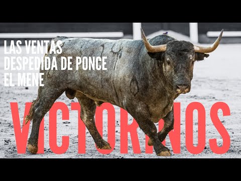 Corrida Victorinos Madrid 🐂 Despedida de Ponce en Valencia 🐂 El Mene