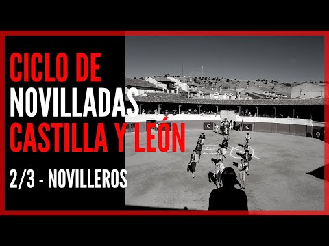 Especial Ciclo de Novilladas 🧱 Castilla y León 🦁 - LOS NOVILLEROS