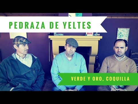 PEDRAZA DE YELTES - VERDE Y ORO, COQUILLA